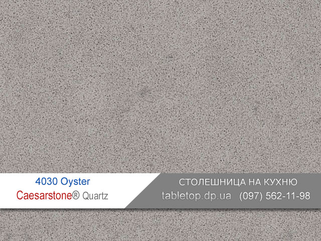 4030 Oyster - CaesarHansa