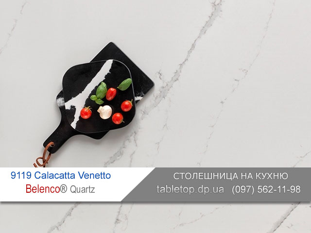 9119 Calacatta Venetto