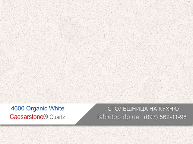 Кварцит 4600 Organic White